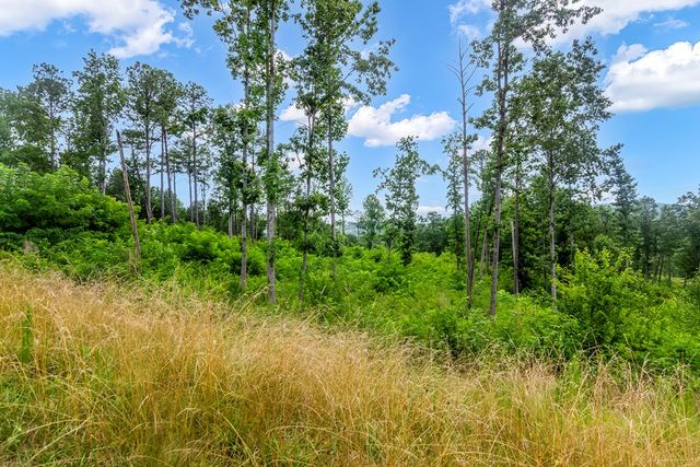 Lot 128 Twisted Oak Road, Talking Rock, GA 30175