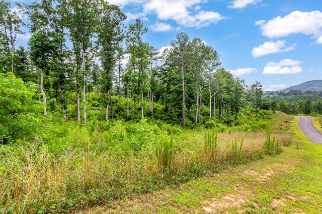 Lot 128 Twisted Oak Road, Talking Rock, GA 30175
