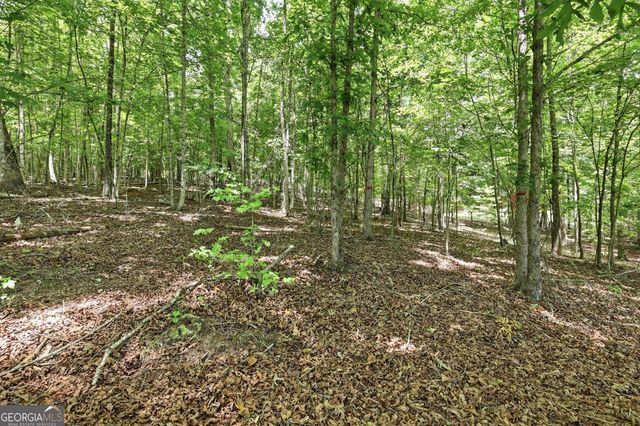 172 Laceola North Road, Cleveland, GA 30528