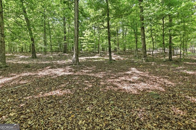172 Laceola North Road, Cleveland, GA 30528