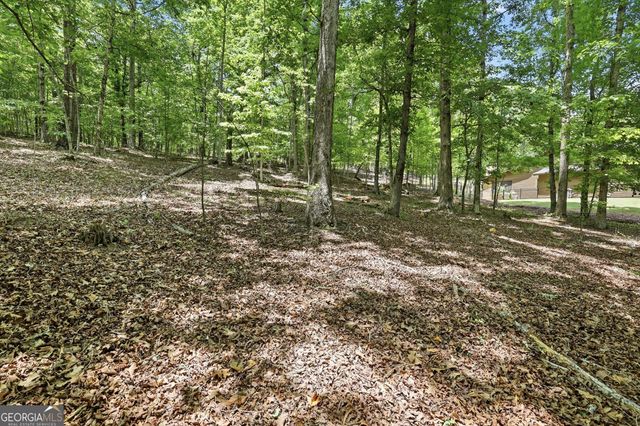 172 Laceola North Road, Cleveland, GA 30528
