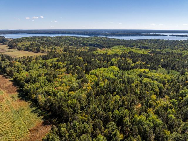 39687 Swanberg Road, Timothy Twp, MN 56474