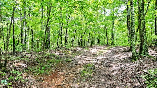 23.83 Pine Crest Road, Jasper, GA 30143