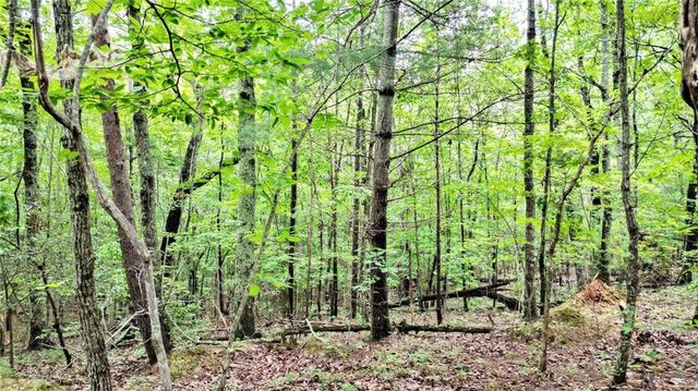 23.83 Pine Crest Road, Jasper, GA 30143