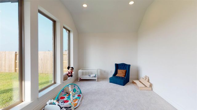 19034 Paso Fino Prairie Lane, Tomball, TX 77377