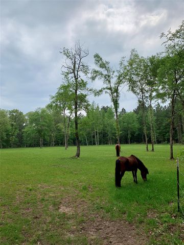 24953 Powers Court, Montgomery, TX 77316