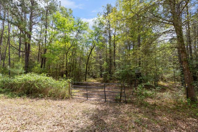 24953 Powers Court, Montgomery, TX 77316