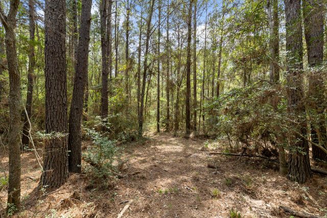 24953 Powers Court, Montgomery, TX 77316