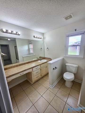 17439 Morgan Drive, Harvest, AL 35749