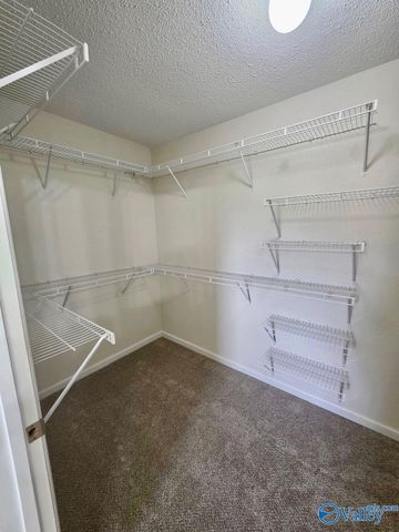 17439 Morgan Drive, Harvest, AL 35749