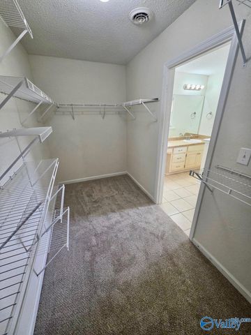 17439 Morgan Drive, Harvest, AL 35749