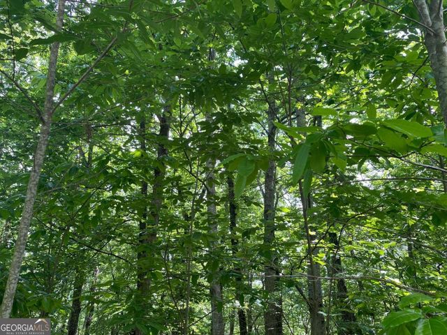 LOT 11 Brumby Run 11, Blairsville, GA 30512