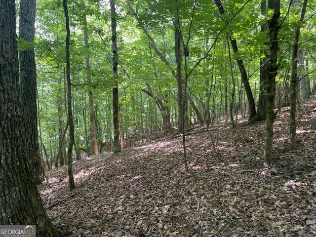 LOT 11 Brumby Run 11, Blairsville, GA 30512