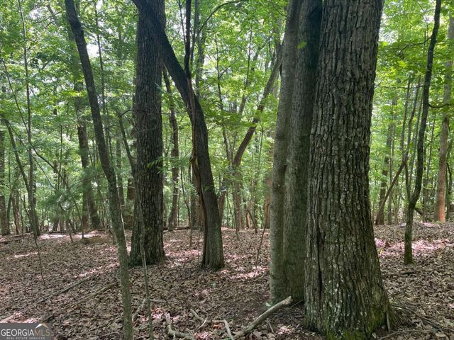 LOT 11 Brumby Run 11, Blairsville, GA 30512