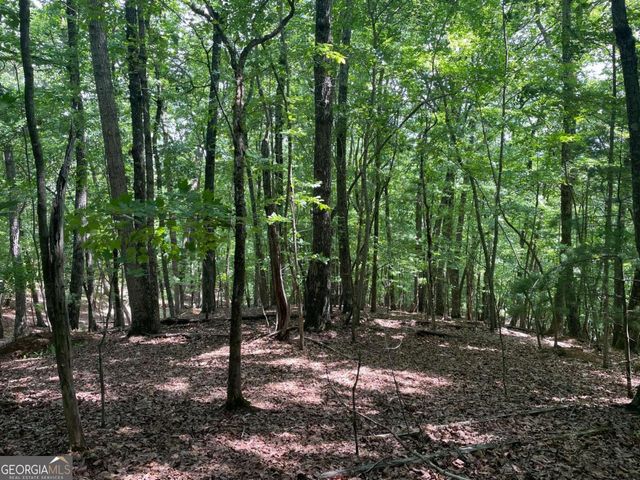 LOT 11 Brumby Run 11, Blairsville, GA 30512