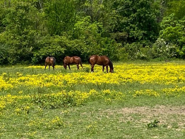 6991 Mauds Hughes Road, Liberty Twp, OH 45011