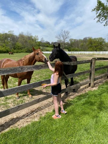 6991 Mauds Hughes Road, Liberty Twp, OH 45011