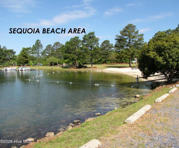 101 Swan Run Court, West End, NC 27376