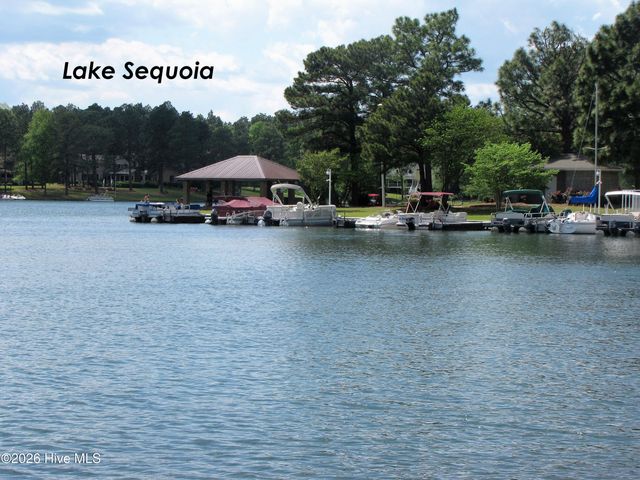 101 Swan Run Court, West End, NC 27376