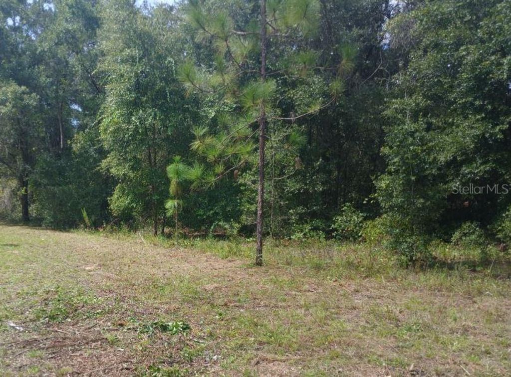 52ND AVENUE NW, Ocala, FL 34482