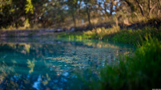 7869 County Road 203, Beeville, TX 78102