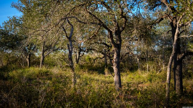 7869 County Road 203, Beeville, TX 78102