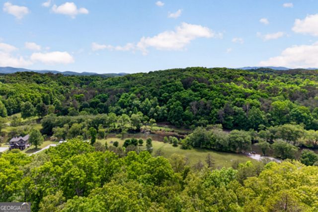 28 Fish Camp Way, Mineral Bluff, GA 30559