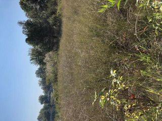 7 Pickeral Avenue, Porter Twp, MI 49130