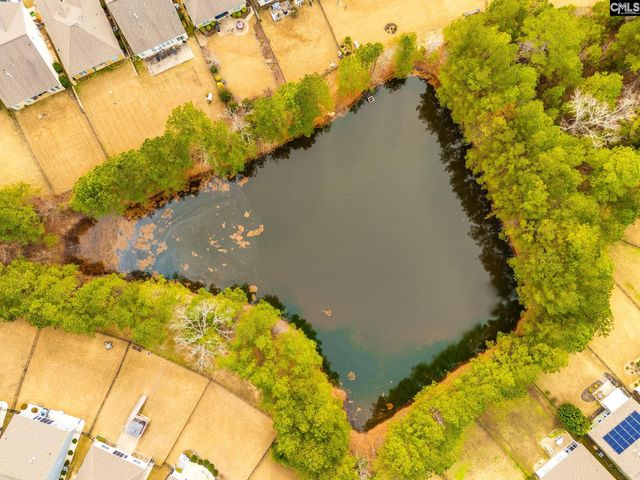 671 Scarlet Baby Drive, Blythewood, SC 29016