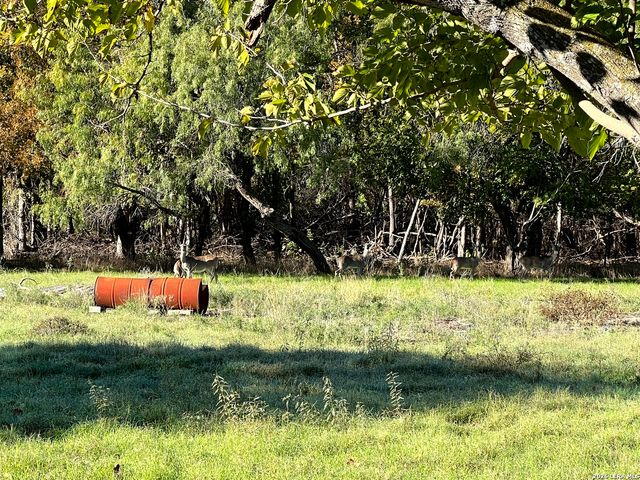 4970 Fm 482, New Braunfels, TX 78132