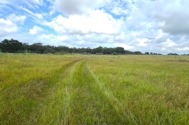 TBD County Road 217, Weimar, TX 78962