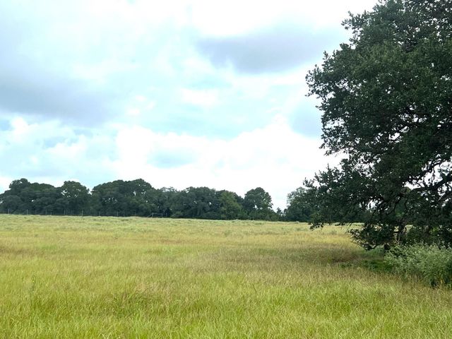TBD County Road 217, Weimar, TX 78962