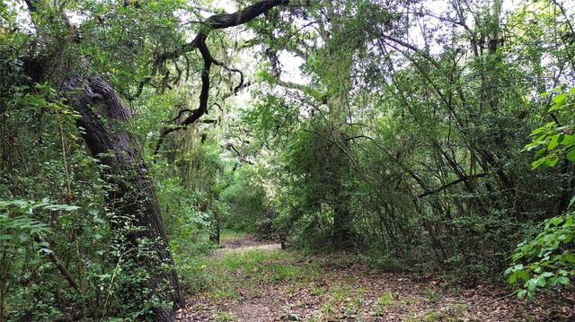 TBD County Road 217, Weimar, TX 78962