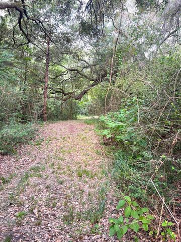 TBD County Road 217, Weimar, TX 78962