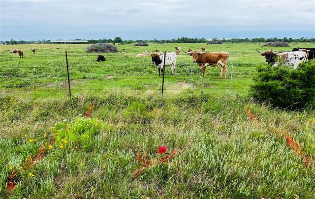 Tract 4 Kveton Road, Cat Spring, TX 78933