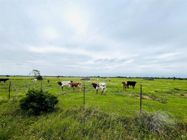 Tract 4 Kveton Road, Cat Spring, TX 78933