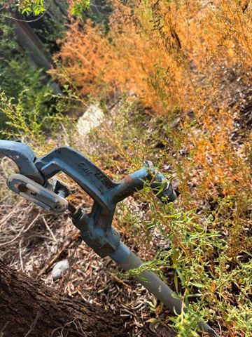 31 Private drive 1533, Hernandez, NM 87537