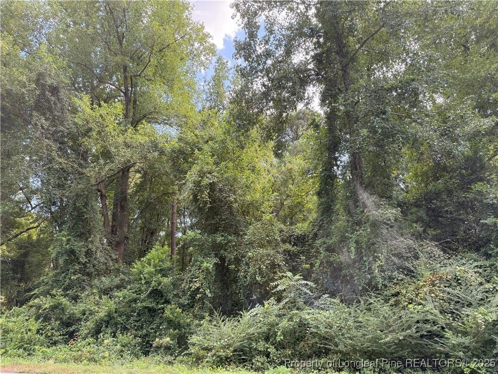 Lot 3 E Williams Street, Autryville, NC 28318 — photo 2