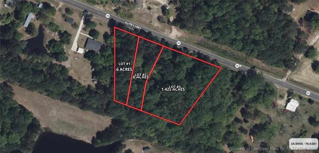 Lot 3 E Williams Street, Autryville, NC 28318 — photo 3
