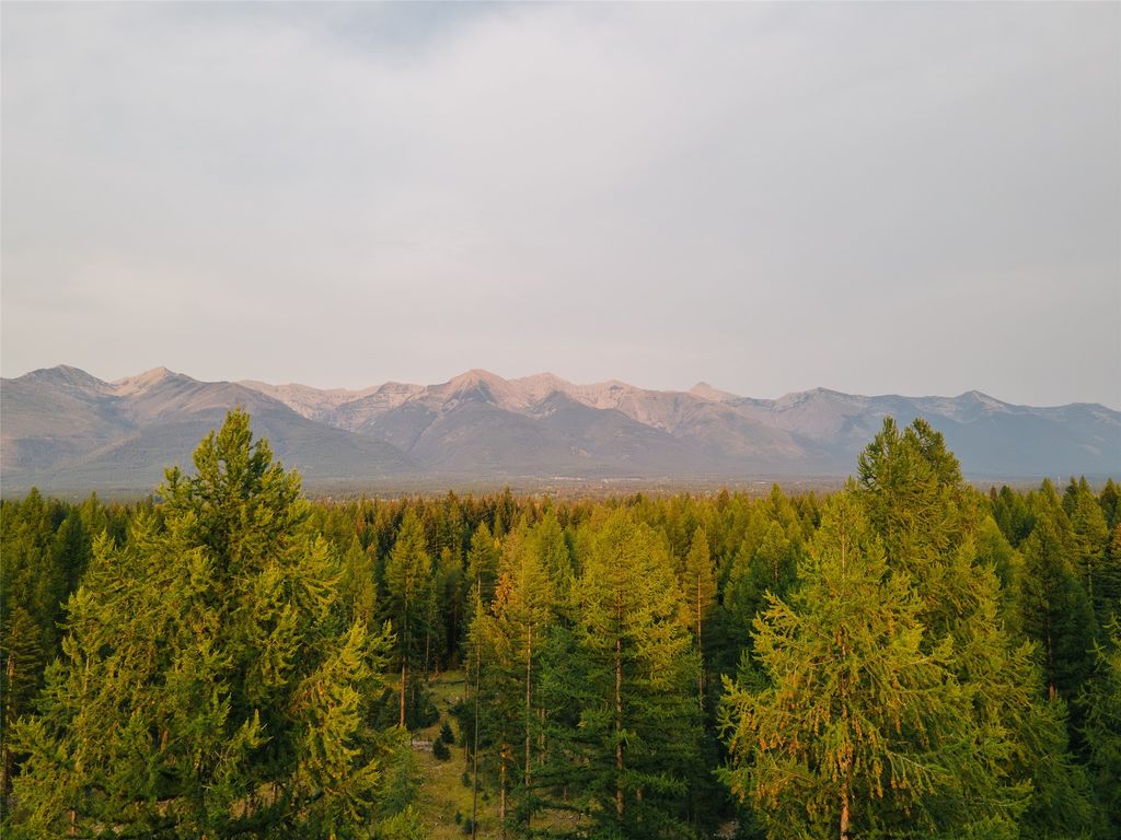 NHN Styler Drive, Condon, MT 59826 photo 2
