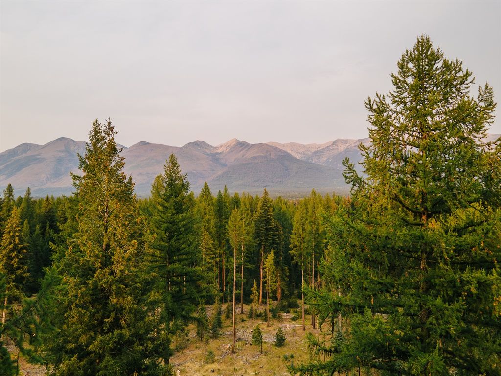NHN Styler Drive, Condon, MT 59826 photo 3