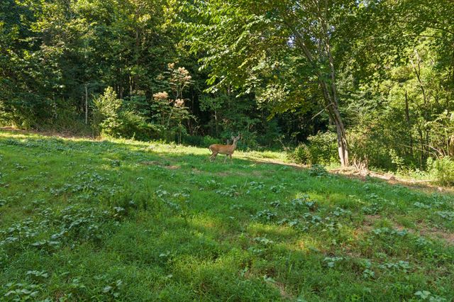 0 Lewisburg Hwy, Pulaski, TN 38478