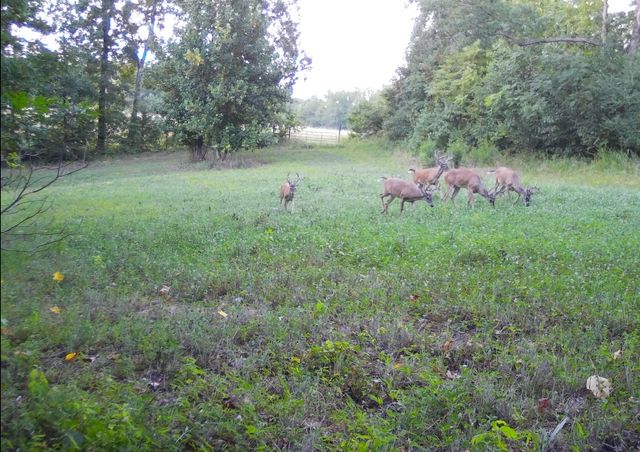 0 Lewisburg Hwy, Pulaski, TN 38478