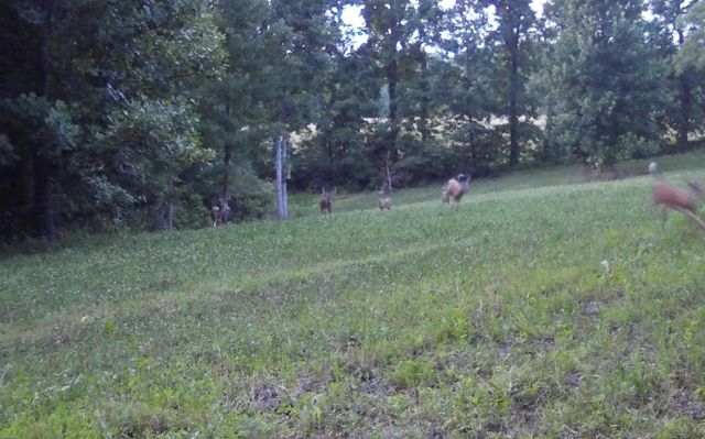 0 Lewisburg Hwy, Pulaski, TN 38478