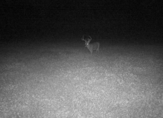 0 Lewisburg Hwy, Pulaski, TN 38478