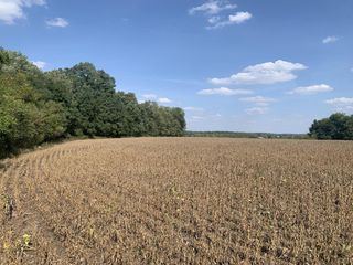 Lt2 HIGHWAY 59, Albany, WI 53502