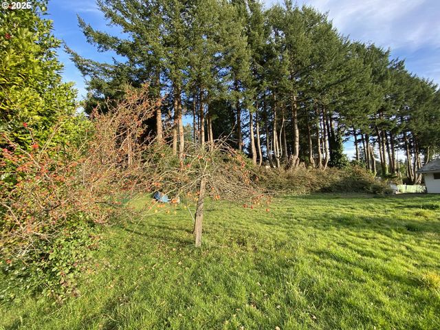 97987 COURT ST St, Brookings, OR 97415