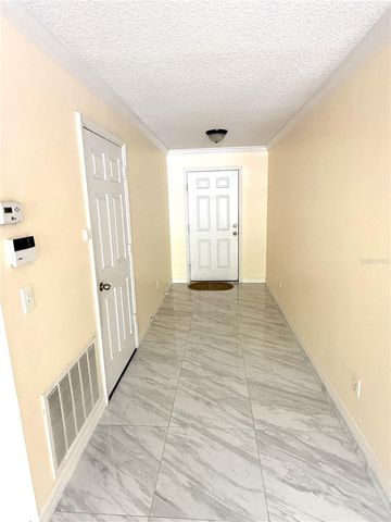 344 SKY VALLEY STREET, Clermont, FL 34711