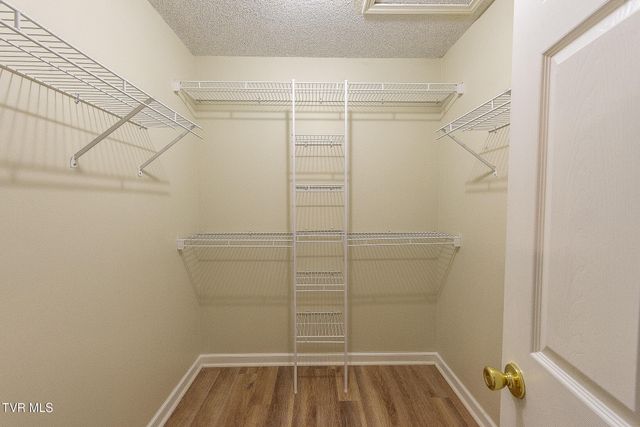 113 Beechwood Court, Kingsport, TN 37663