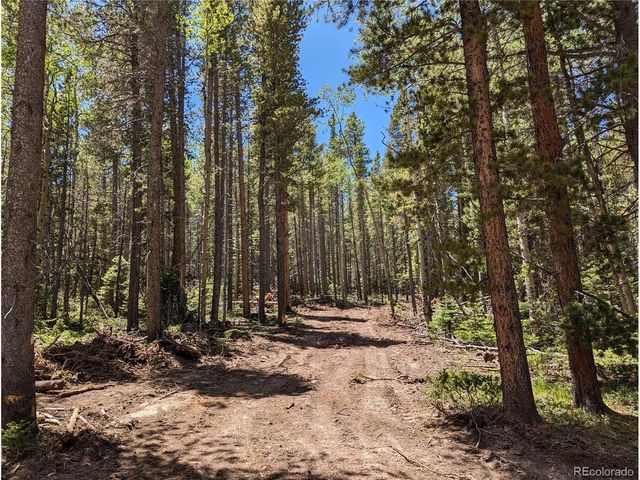 2905 Forbes Park Loop, Fort Garland, CO 81133